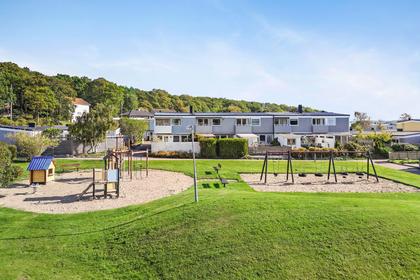 Bild av närområdet