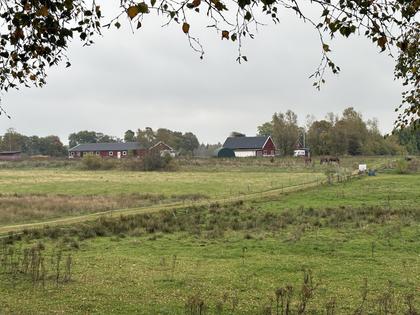 Bild av närområdet