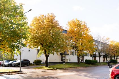 Exteriörbild