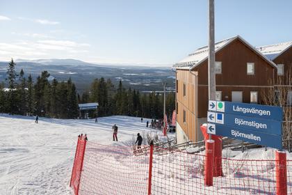 Bild av närområdet