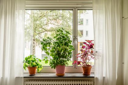 Interiörbild