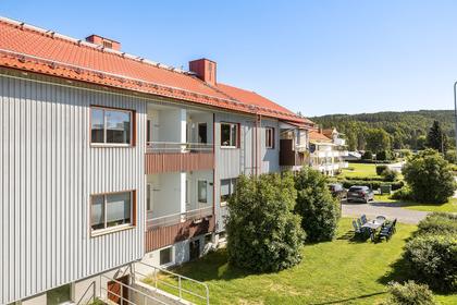 Bild av närområdet
