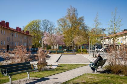 Bild av närområdet