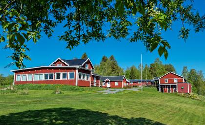 Bild av närområdet