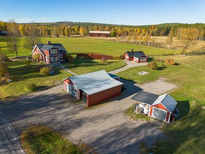 Bild av närområdet
