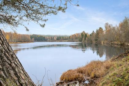 Bild av närområdet