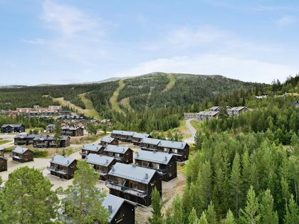 Bild av närområdet