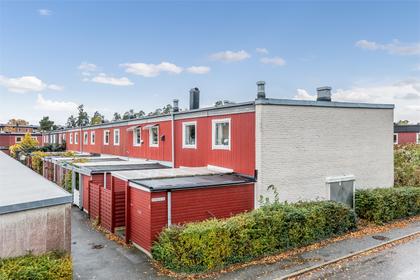 Bild av närområdet
