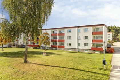 Exteriörbild