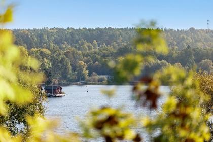 Bild av närområdet