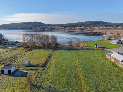 Bild av närområdet