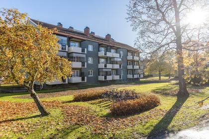 Exteriörbild