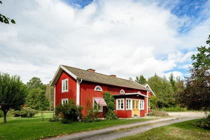 Bild av närområdet