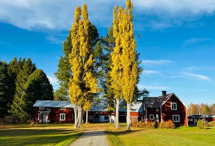 Bild av närområdet