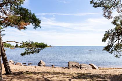 Bild av närområdet