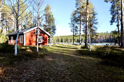 Bild av närområdet