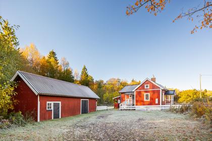 Bild av närområdet
