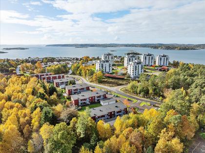 Bild av närområdet