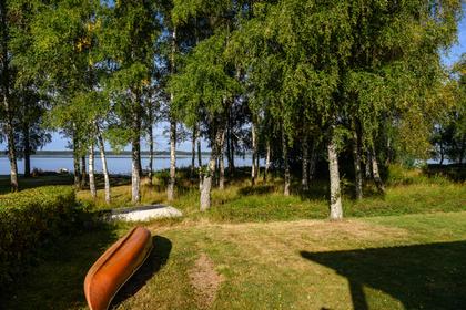 Bild av närområdet