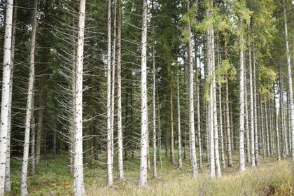 Interiörbild