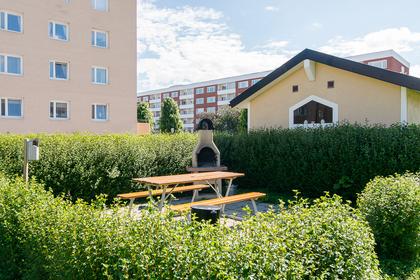 Bild av trädgården