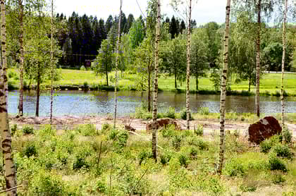 Bild av trädgården