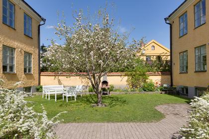 Bild av trädgården