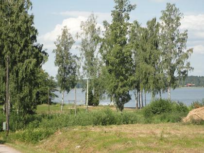 Bild av trädgården