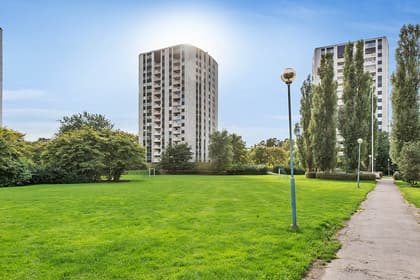 Bild av trädgården