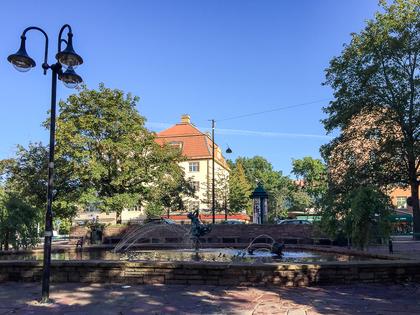 Bild av trädgården