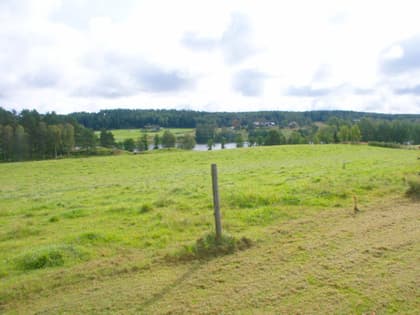 Bild av trädgården