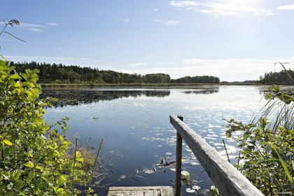 Bild av närområdet