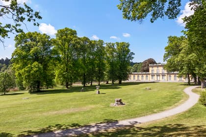 Bild av trädgården