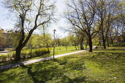 Bild av trädgården