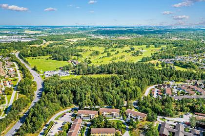 Bild av trädgården