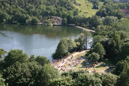 Bild av trädgården