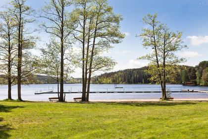 Bild av trädgården