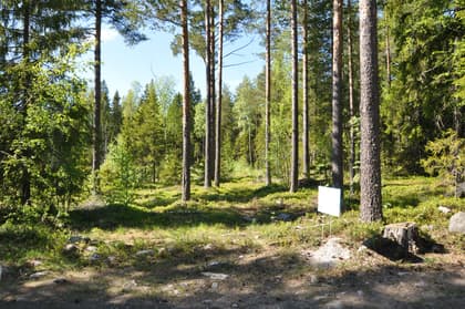 Skanstorpsvägen, Bensbyn