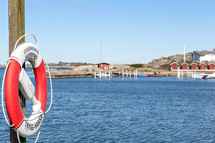 Bild av närområdet