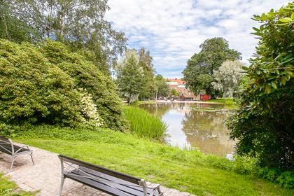 Bild av trädgården