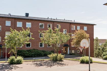Barytongatan 13, Kaverös