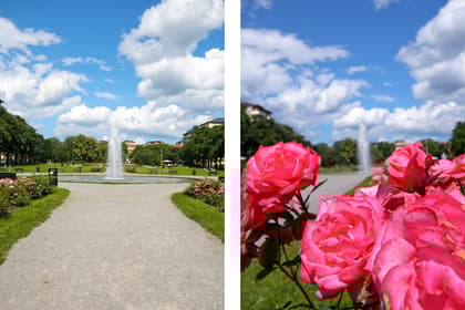 Jungfrugatan 60, Gärdet