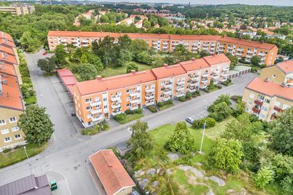 Bild av trädgården