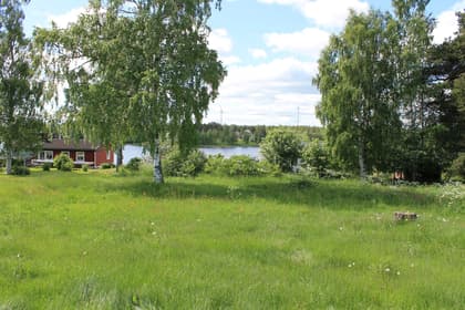 Bild av trädgården