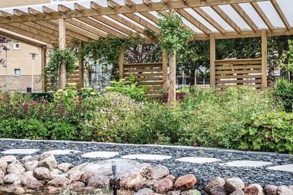 Bild av trädgården