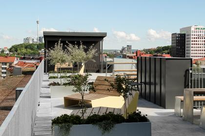 Bild av trädgården