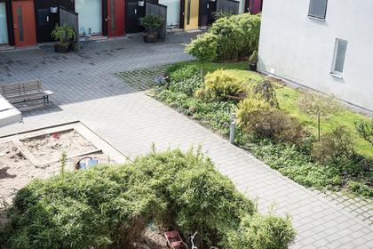 Bild av trädgården