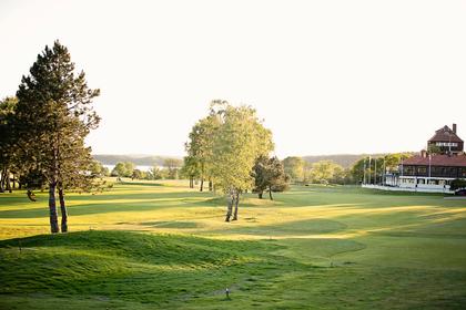 Bild av trädgården