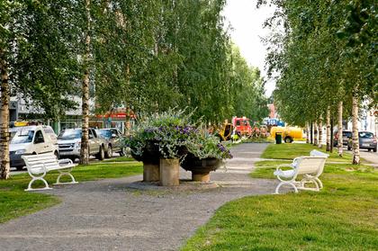 Bild av närområdet