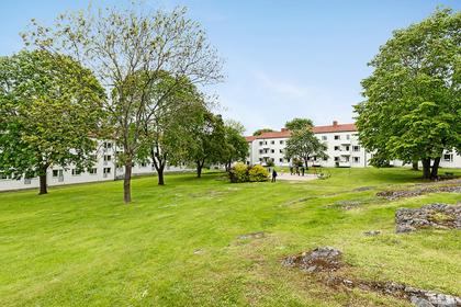 Bild av trädgården